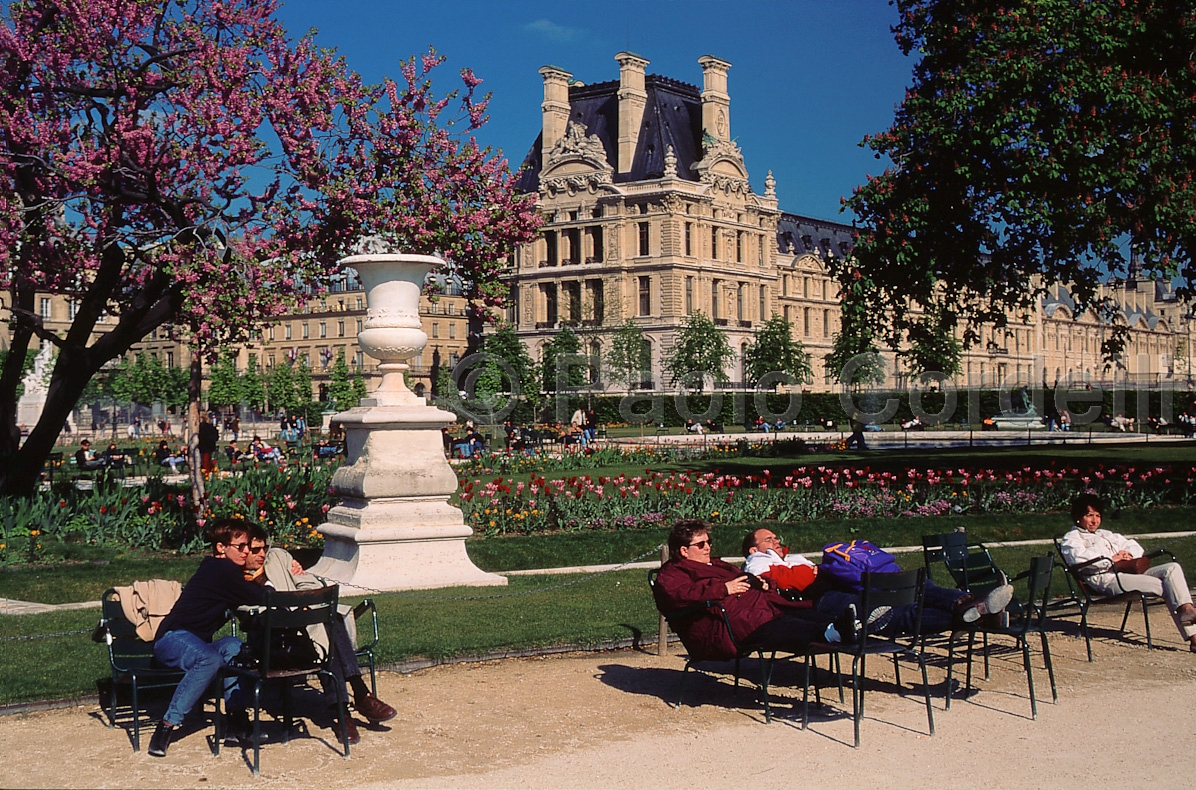 Gardens of Louvre, Paris, France
(cod:Paris 26)